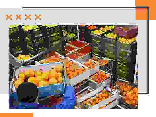 Перевозка скоропортящихся продуктов в прохладном